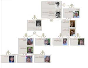 arbre_marie_jo